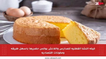 كيكة النشا القطنية للمدارس واللانش بوكس حضريها بأسهل طريقة ومكونات اقتصادية